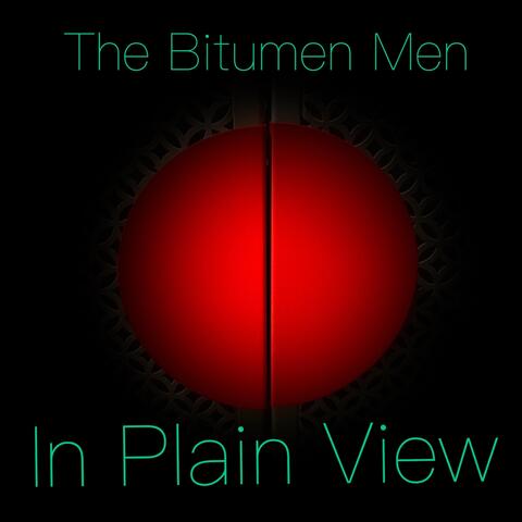 In Plain View