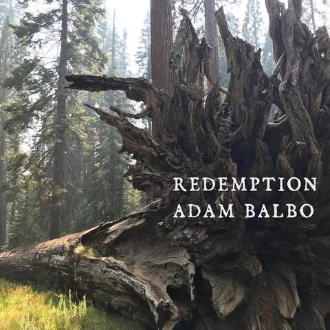 Redemption