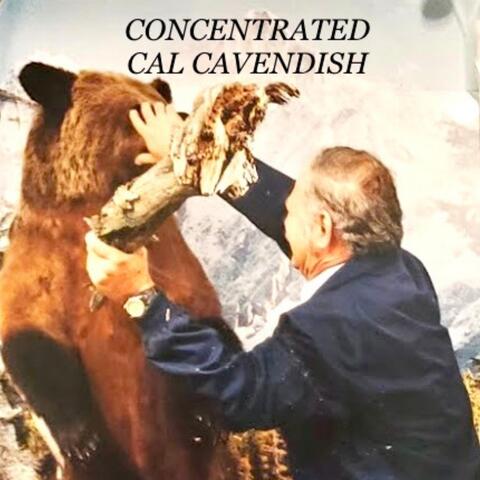 Concentrated Cal Cavendish