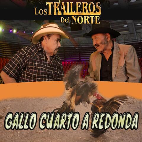 Gallo Cuarto a Redonda