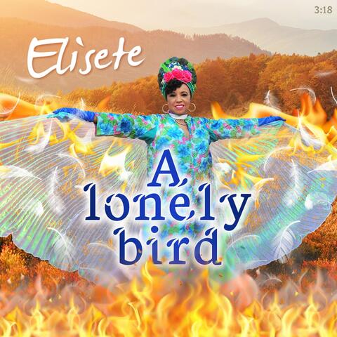 A Lonely Bird