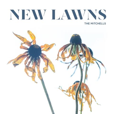 New Lawns