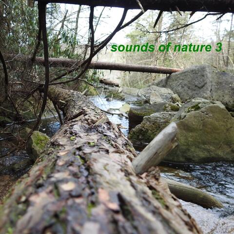 Sounds of Nature 3