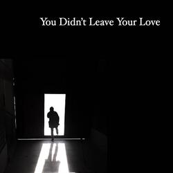 You Didn't Leave Your Love