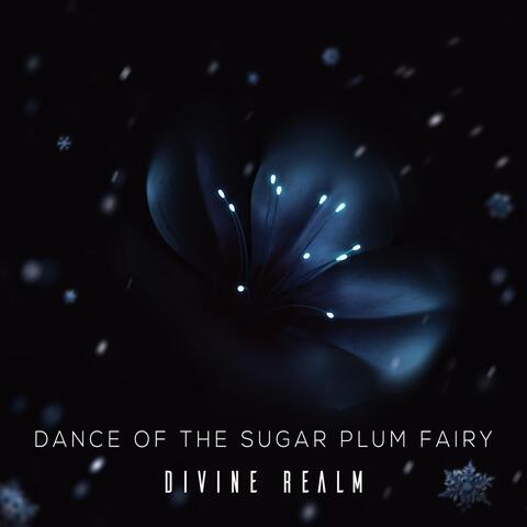 Dance of the Sugar Plum Fairy