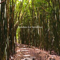 Bamboo for Breakfast