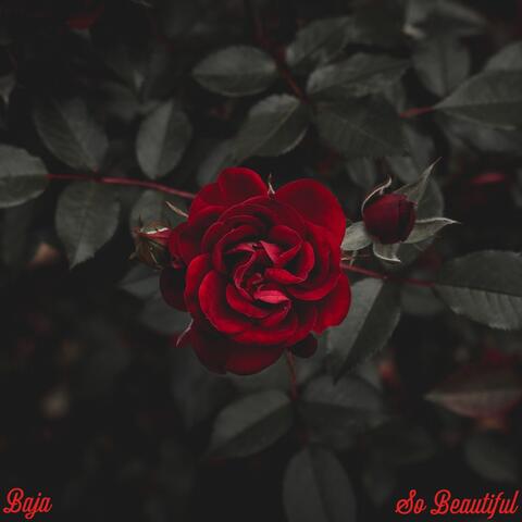 So Beautiful