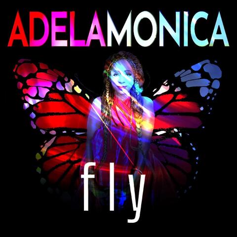 Fly