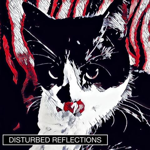 Disturbed Reflections