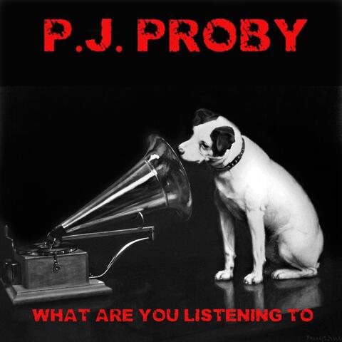 What Are You Listening To
