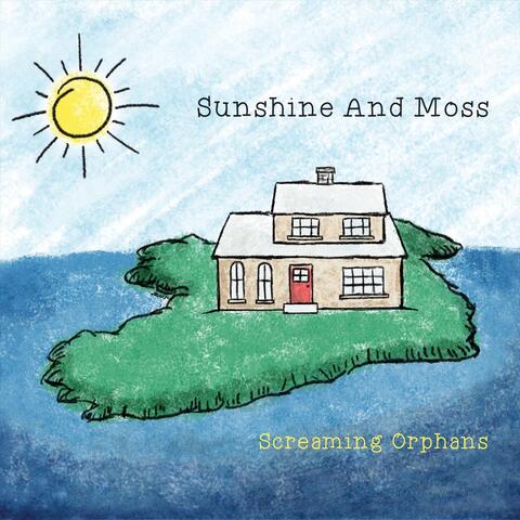Sunshine and Moss