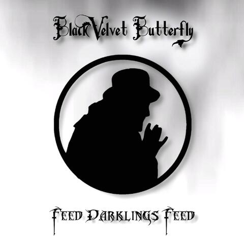 Feed Darklings Feed