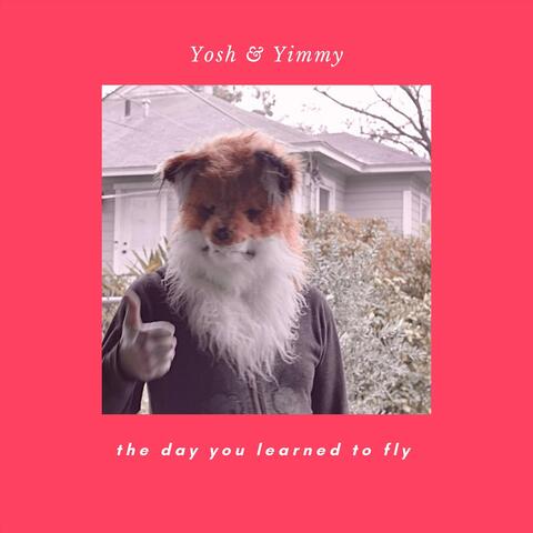 The Day You Learned to Fly (Live)