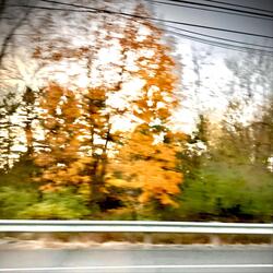 Alone in the Echoplex