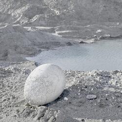 Sage of the Diviners