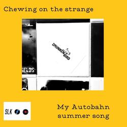 Chewing on the Strange (Acoustic Demo)