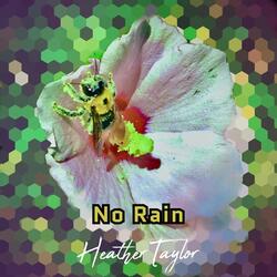 No Rain