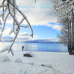 Snow in Tahoe