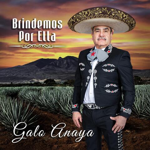 Brindemos por Ella