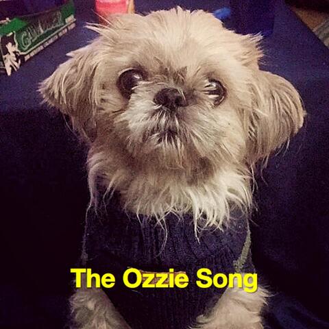 The Ozzie Song