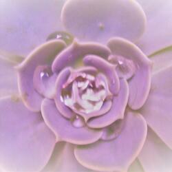 In Case of Emergency, Break Glass