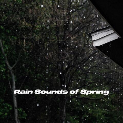 Rain Sounds of Spring