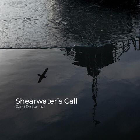 Shearwater's Call