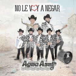 No Le Voy a Negar