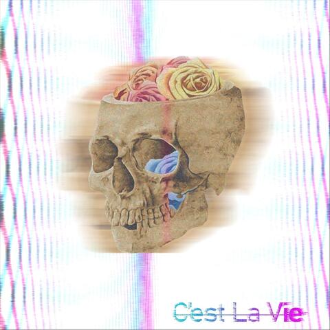 C'est La Vie