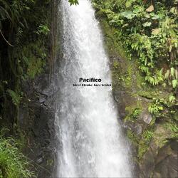 Pacifico