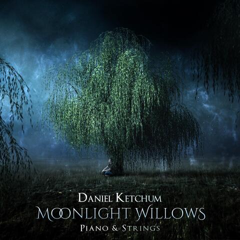 Moonlight Willows (Piano & Strings)