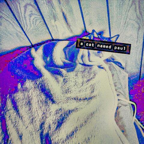 A Cat Named Paul (Digitally Remastered) [feat. Kiwi Lime Squeeze]