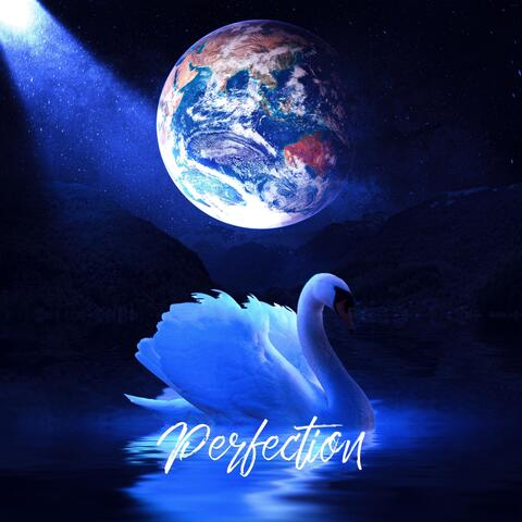 Perfection - Single