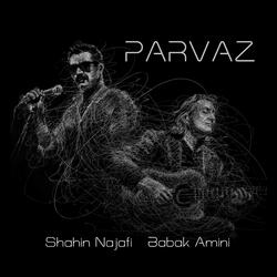 Parvaz (feat. Babak Amini)
