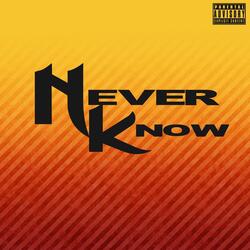 Never Know (feat. Jp Tha Hustler)