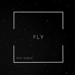 Fly