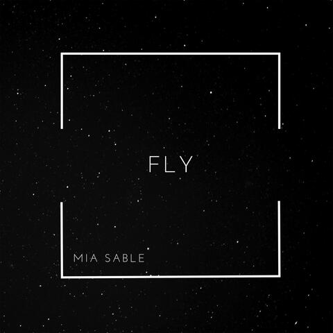 Fly