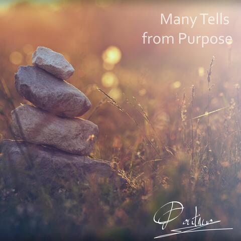 Many Tells from Purpose