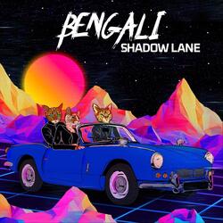 Shadow Lane