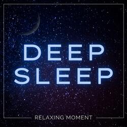 Sleep Voyage