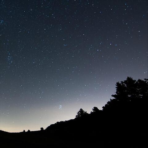 Night