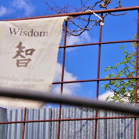 Wisdom