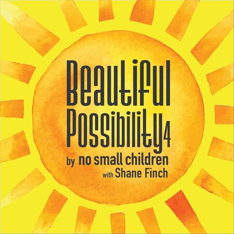 Beautiful Possibility, Vol. 4 (feat. Shane Finch)