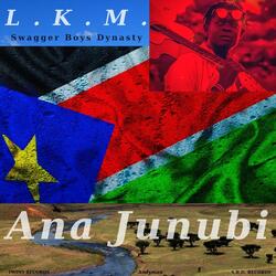 The L.K.M. Show (Live)