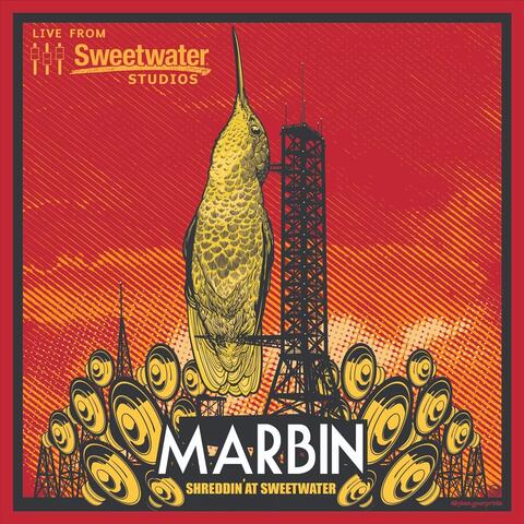 Shreddin' at Sweetwater (Live)