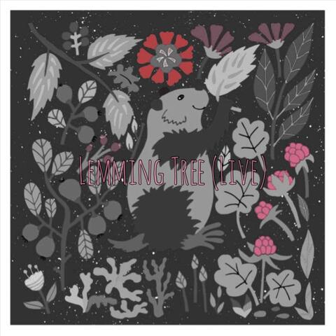 Lemming Tree (Acoustic) [Live]