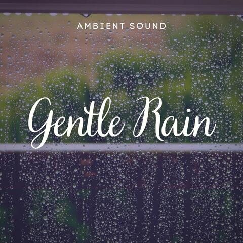 Ambient Sound: Gentle Rain