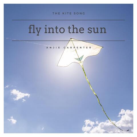 Fly Into The Sun