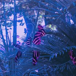 Please Don't Save Your Memory