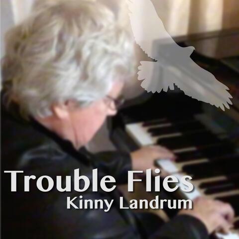Trouble Flies
